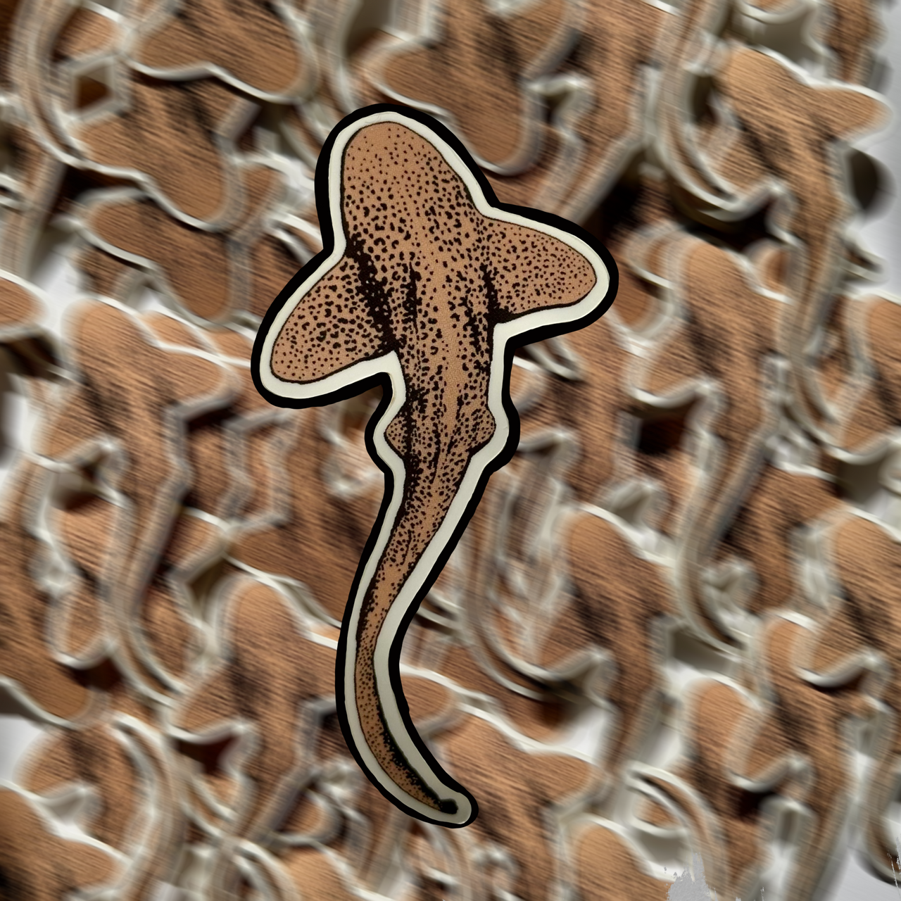 Zebra Shark Sticker